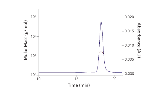 A graph showing size exclusion chromatography multi-angle light scattering data for IL-12 recombinant protein 