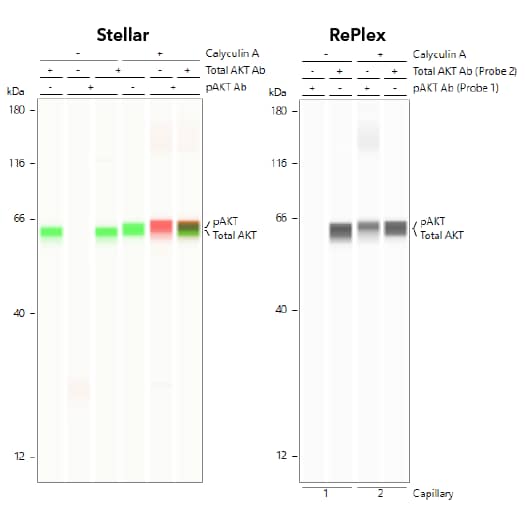 Stellar Versus RePlex