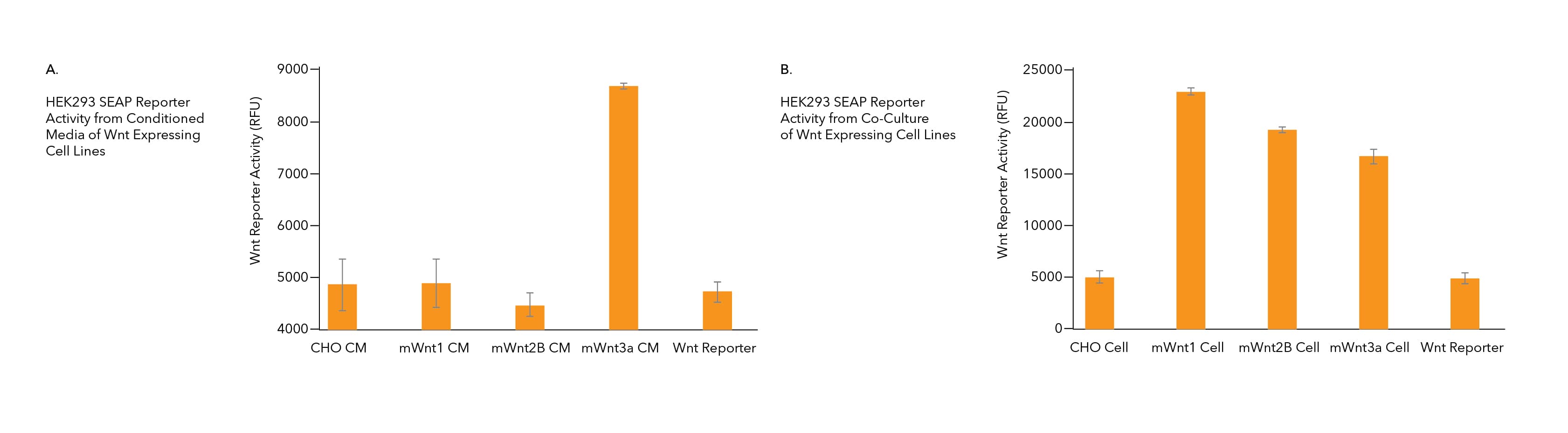 Data graphs showing Wnt reporter activity from conditioned media of Wnt-expressing  cell lines or from co-culture of Wnt-expressing cell lines.