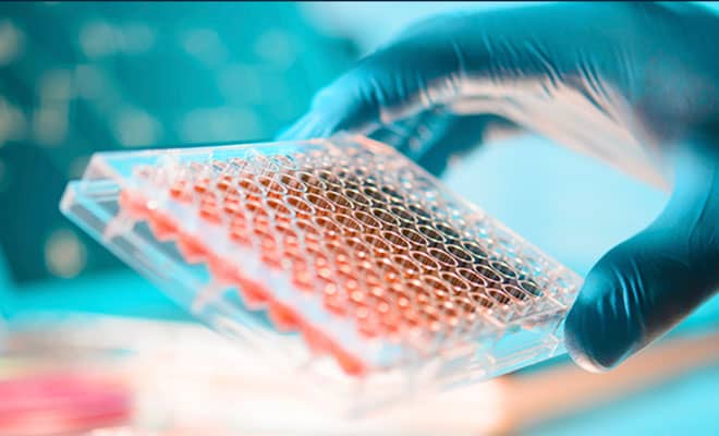 Tocriscreen Compound Library