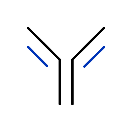 Antibody Icon 235x235