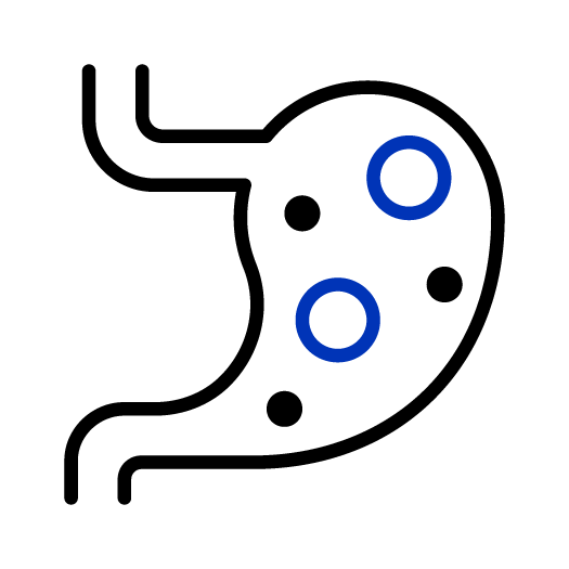  icon of a stomach organ