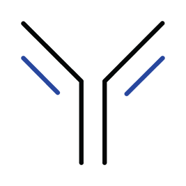 antibody icon