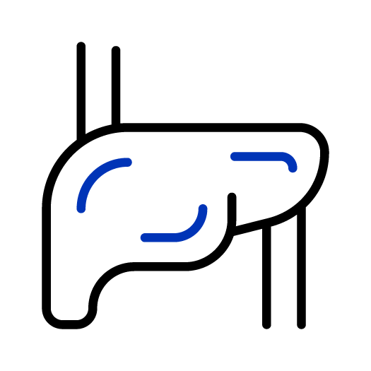 Icon of a a liver