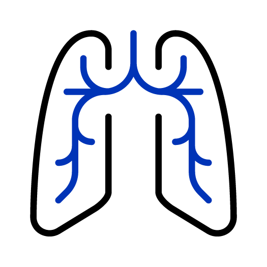  Icon of lungs