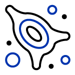 Mesenchymal Stem Cells Icon