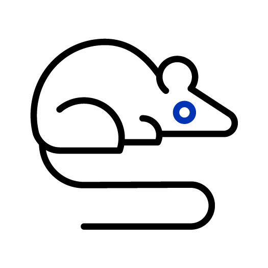 Icon of a mouse