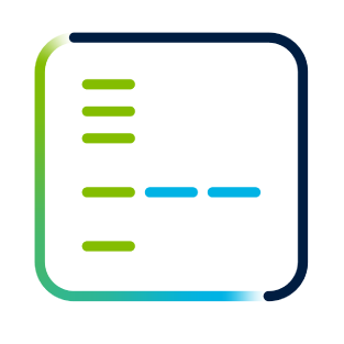 Western Blot Icon