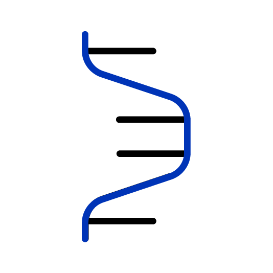 representation of RNA