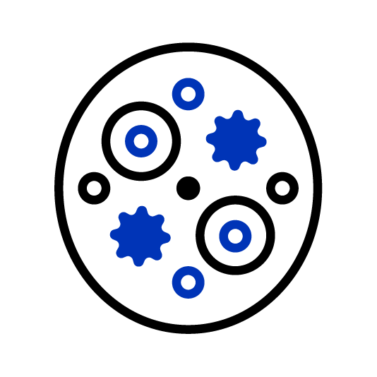 Representation of a tumor 