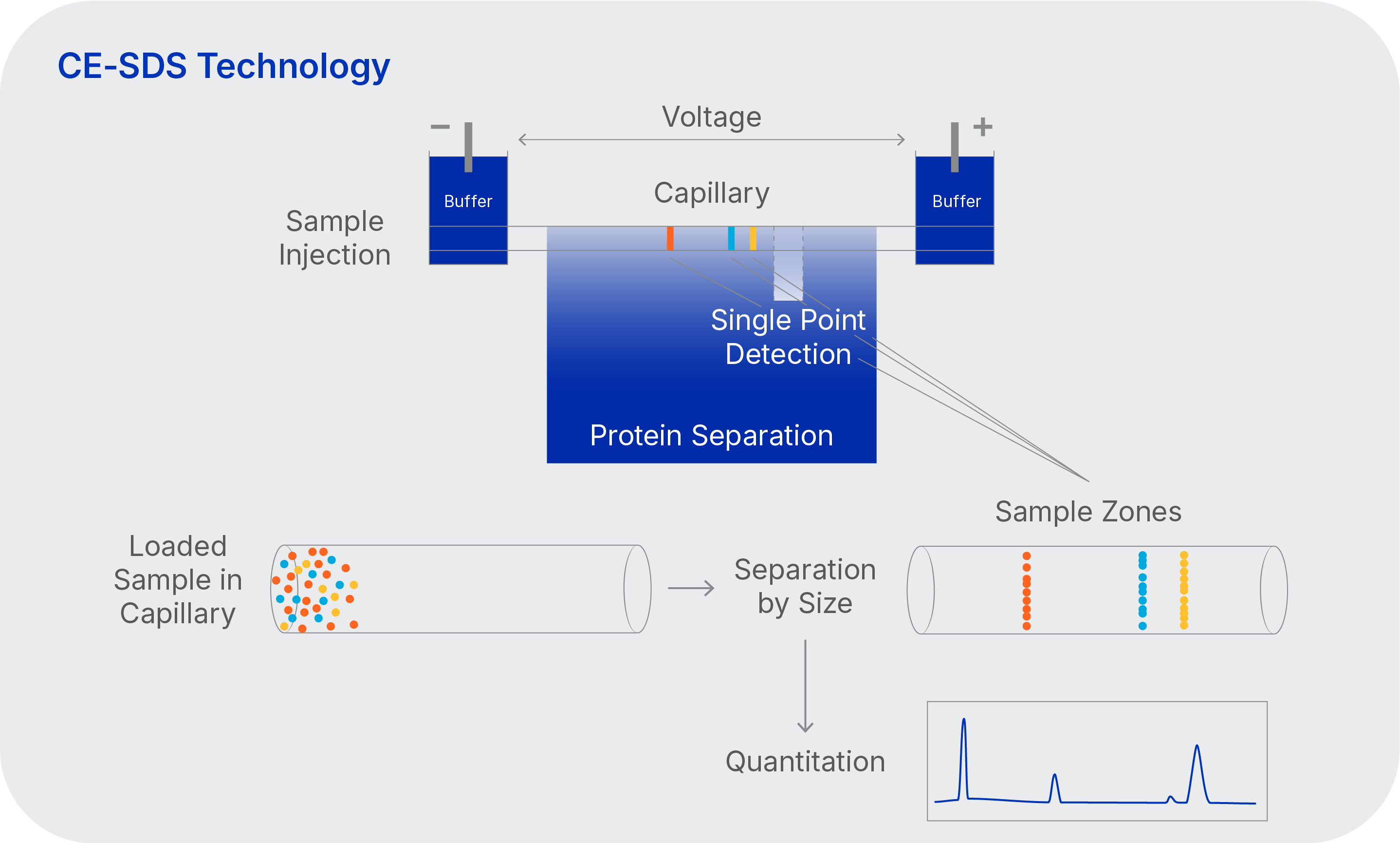 CE-SDS technology diagram