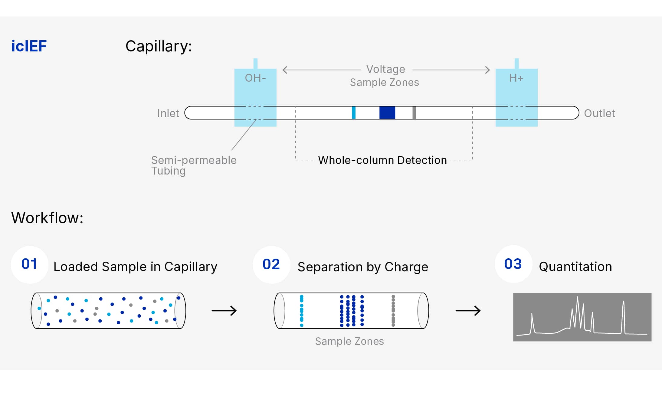 icIEF technology diagram