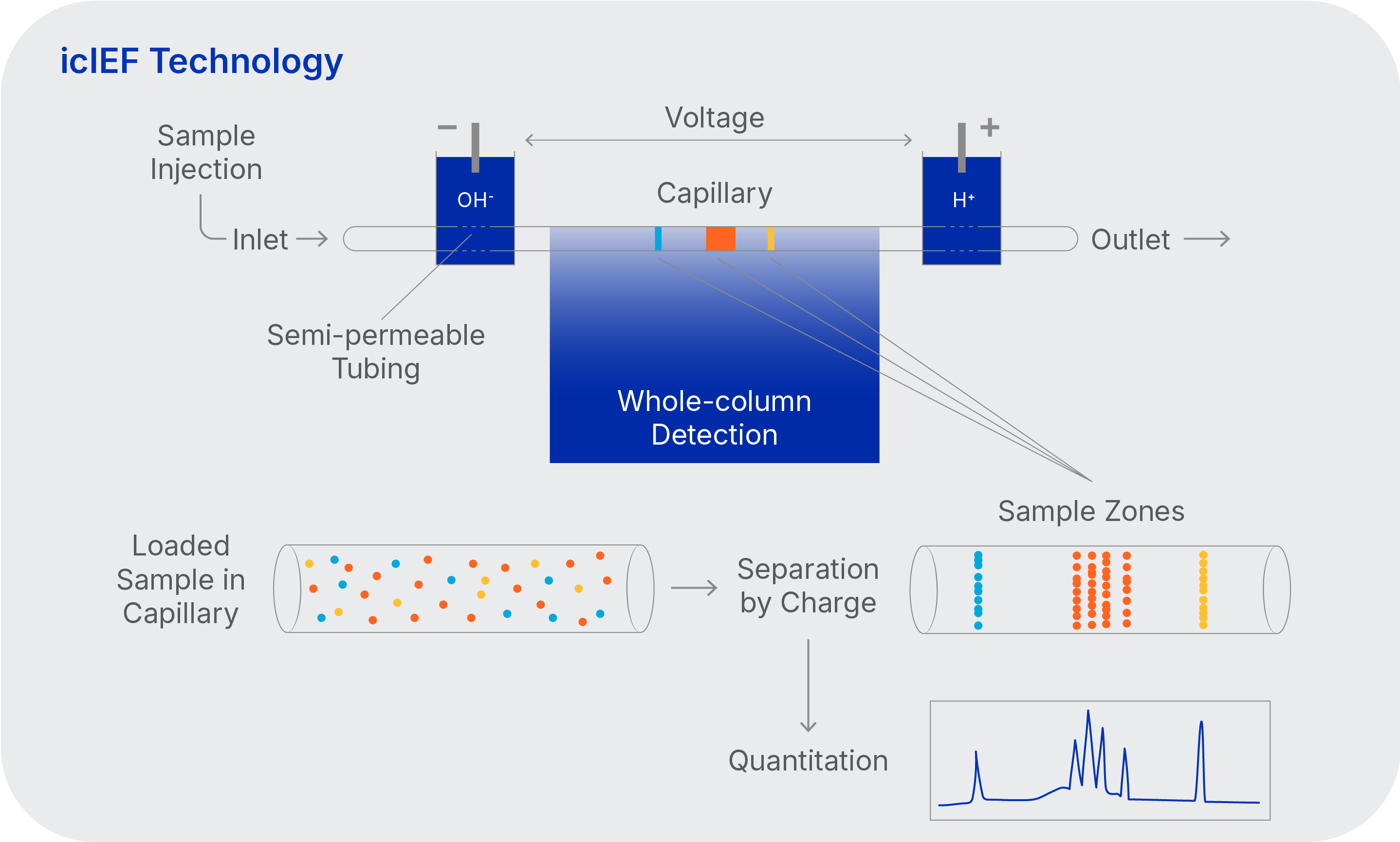 icIEF technology diagram