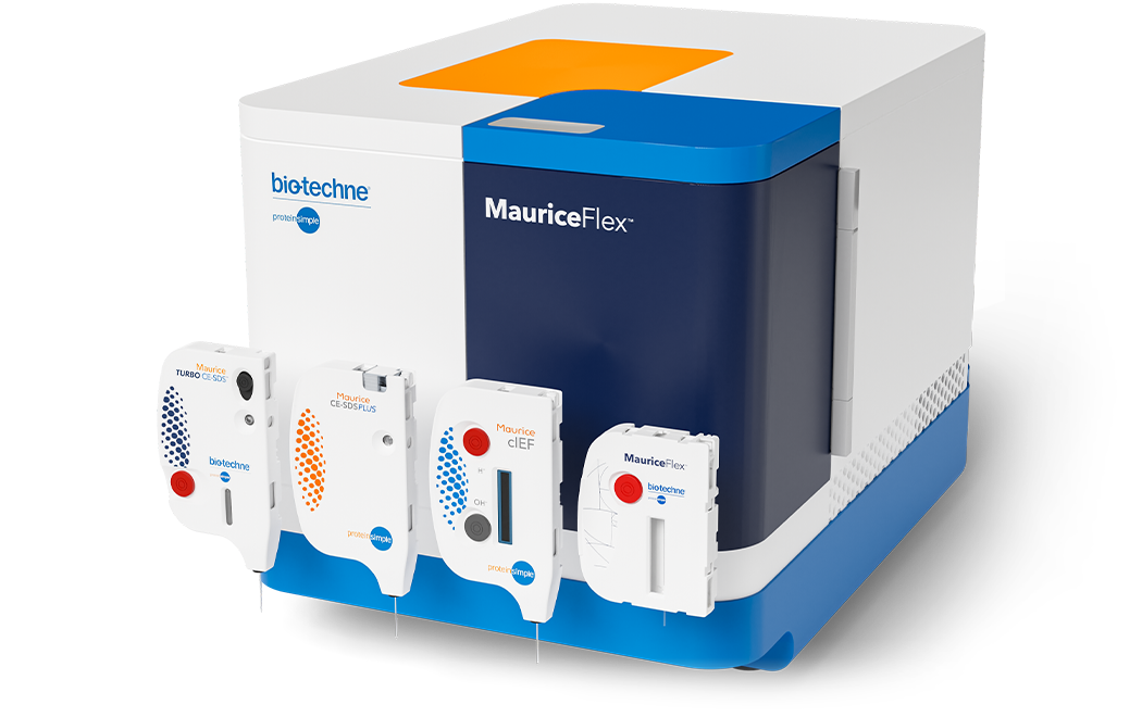 Upgrade to MauriceFlex for high-quality isoelectric focusing data comparable to iCE3. MauriceFlex serves as a single platform for isoelectric focusing (icIEF), capillary electrophoresis-sodium dodecyl sulfate (CE-SDS), and icIEF fractionation.