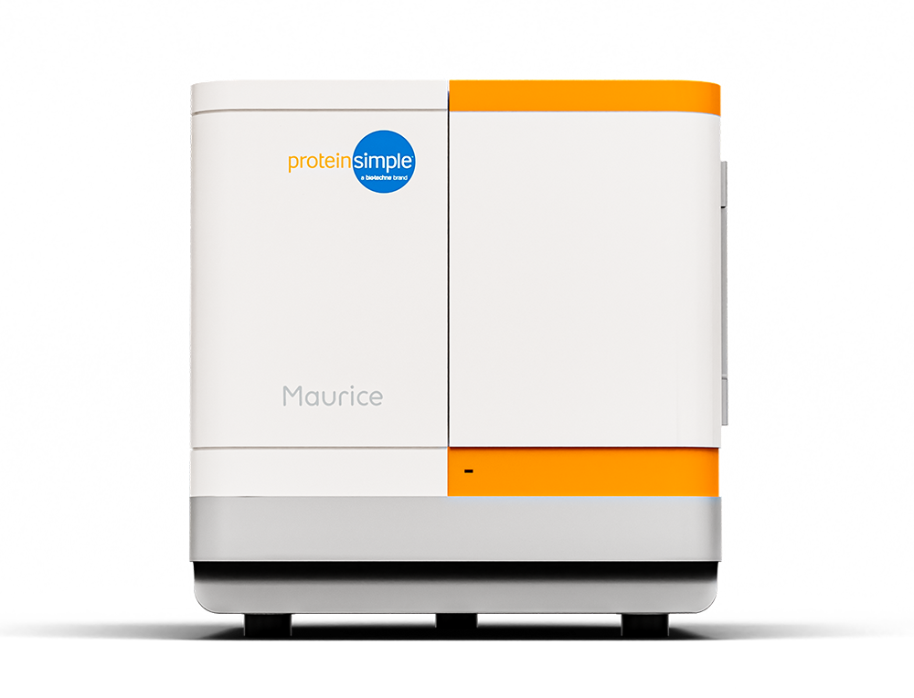 IC-IEF instrument Maurice for ic-ief and CE-SDS protein analysis
