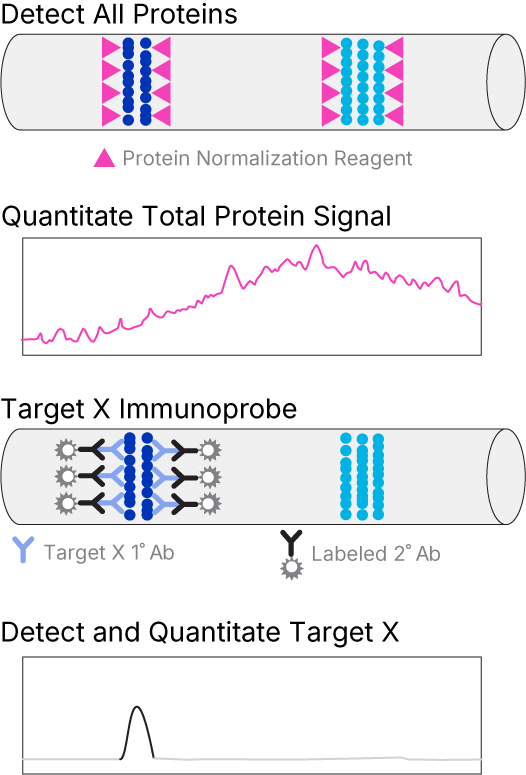 Simple Western TPN using PN Channel Detection