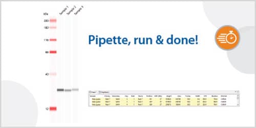 Get fast results with Jess