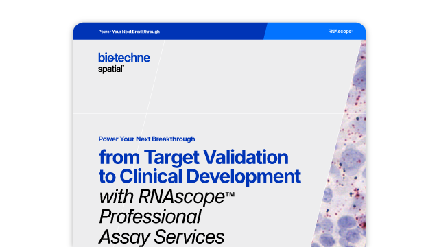 Target Validation to Clinical Development Flyer Thumbnail