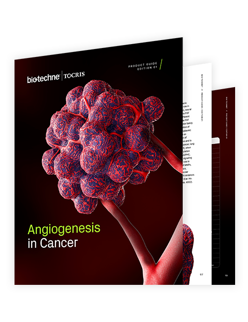 Angiogenesis in Cancer brochure thumbnail