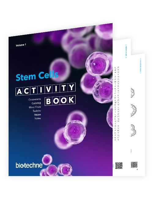 Stem Cell Activity Book cover