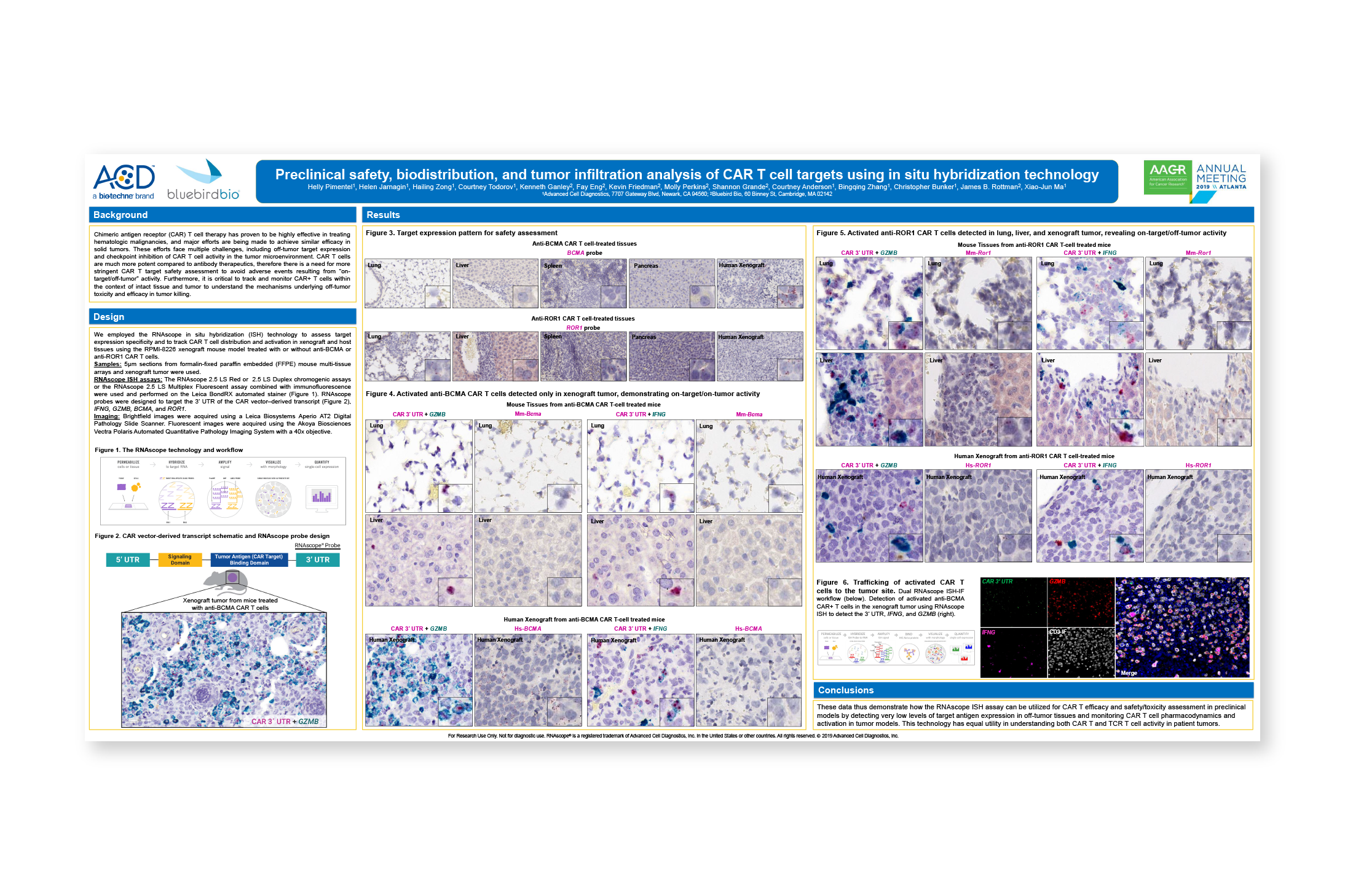 Preclinical safety, biodistribution, and tumor infiltration analysis of CAR T cell targets using in situ hybridization technology - Presented at: AACR 2019