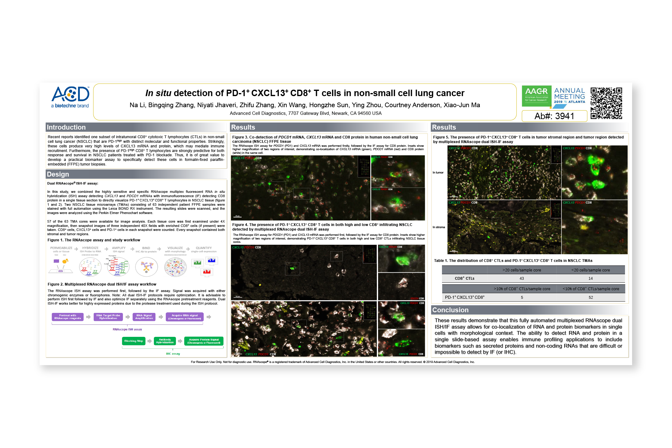 In situ detection of PD-1+ CXCL13+ CD8+ T cells in non-small cell lung cancer - Presented at: AACR 2019