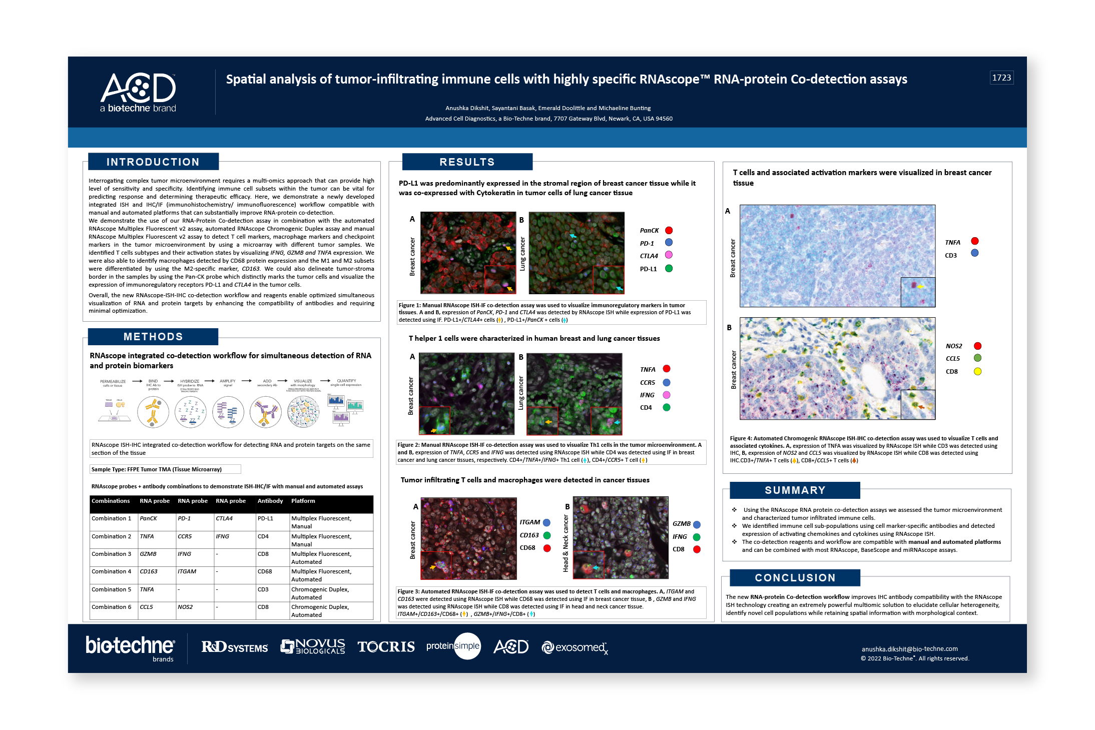 Spatial analysis of tumor-infiltrating immune cells with highly specific RNAscope™ RNA-protein Co-detection assays