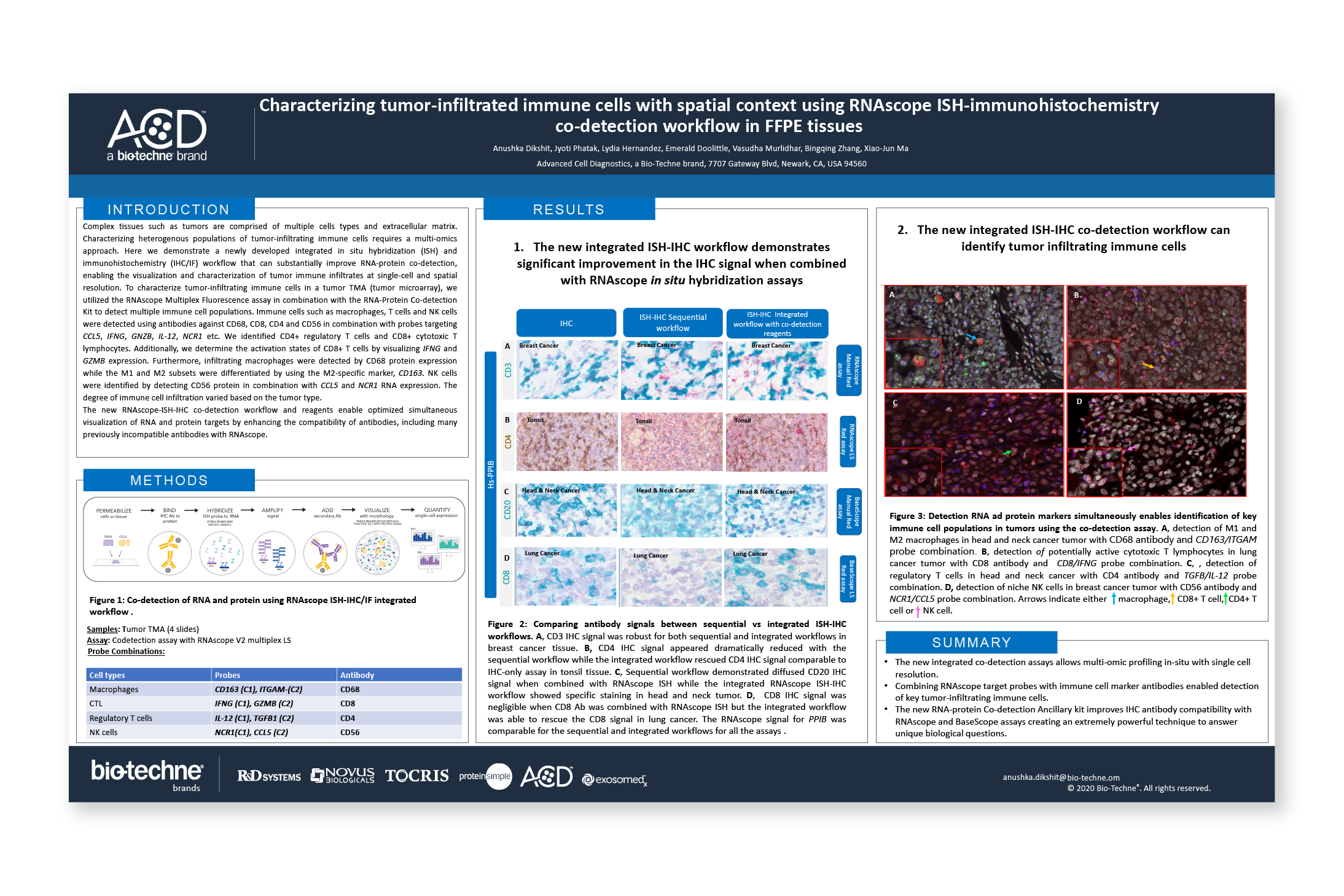 Spatial and temporal mapping of 3R and 4R Tau isoforms during mouse brain development using BaseScope™ in situ hybridization technology