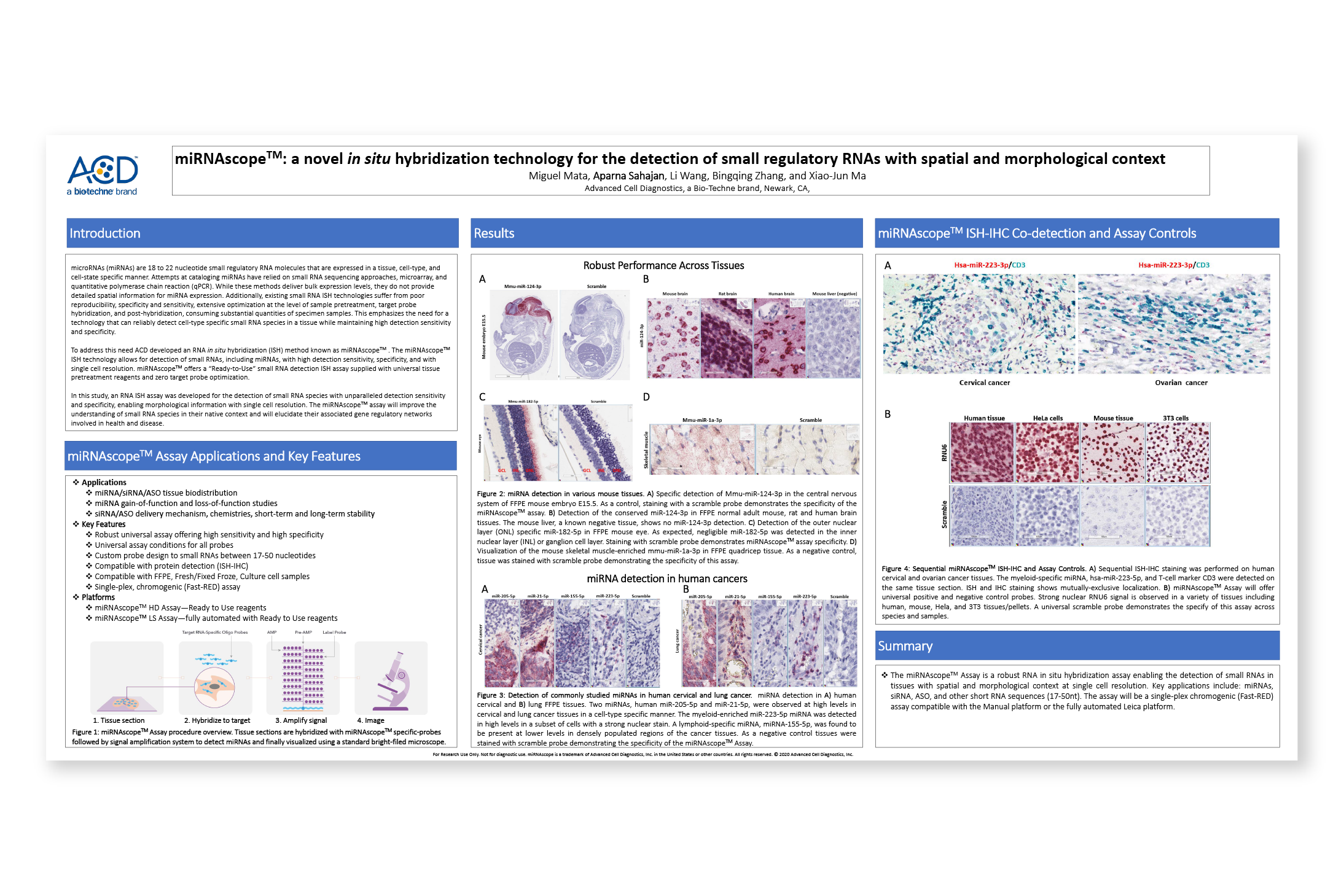 miRNAscope™: a novel in situ hybridization technology for the detection of small regulatory RNAs with spatial and morphological context