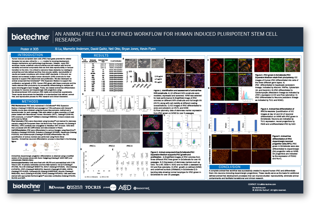 Feeder-free human iNK differentiation scientific poster