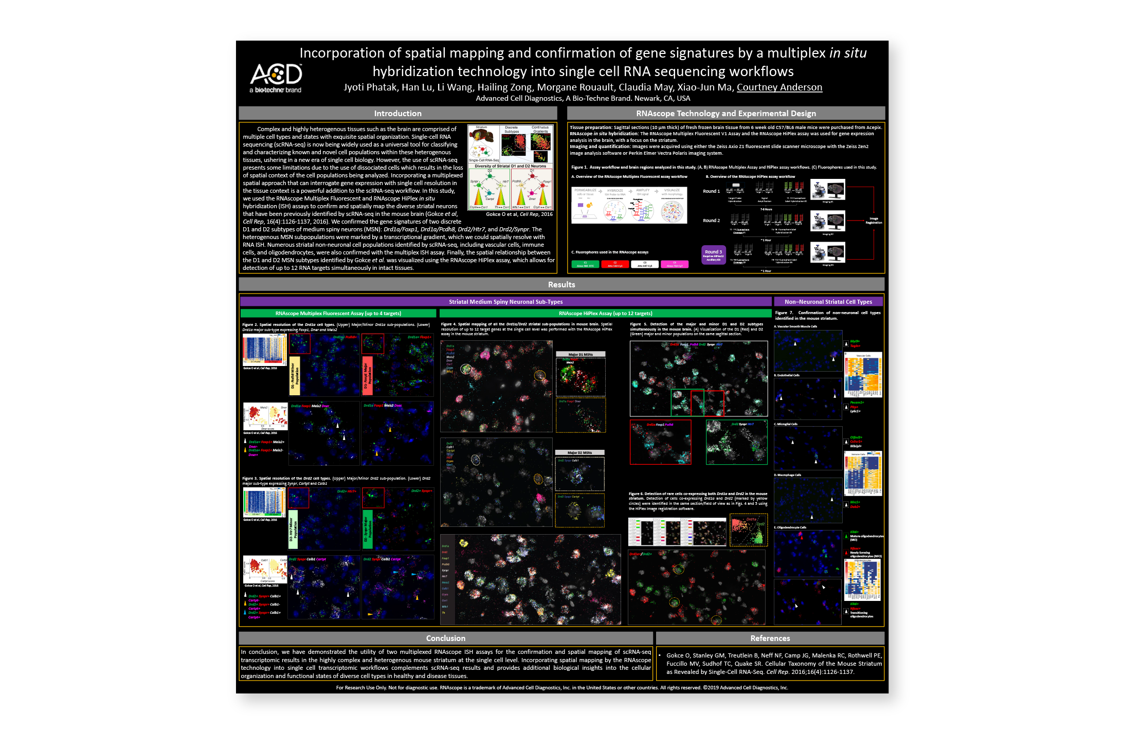 Incorporation of spatial mapping and confirmation of gene signatures by a multiplex in situ hybridization technology into single cell RNA sequencing workflows - Presented at: 2019 CSHL Single Cell Analyses Meeting