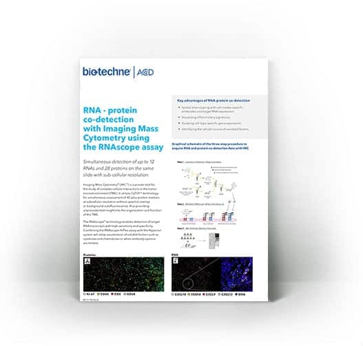 RNA - protein co-detection with Imaging Mass Cytometry using the RNAscope assay