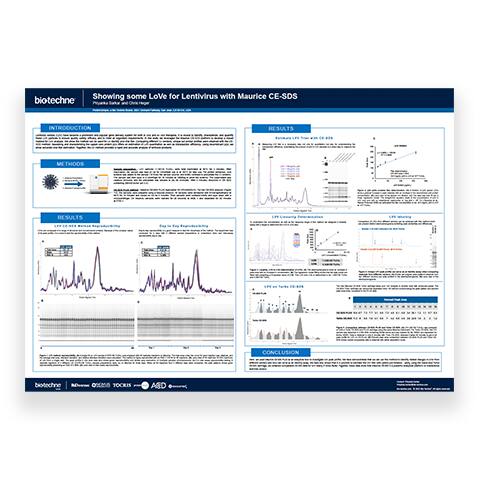 identify, characterize, and quantify these lentiviral vector particles with Maurice poster