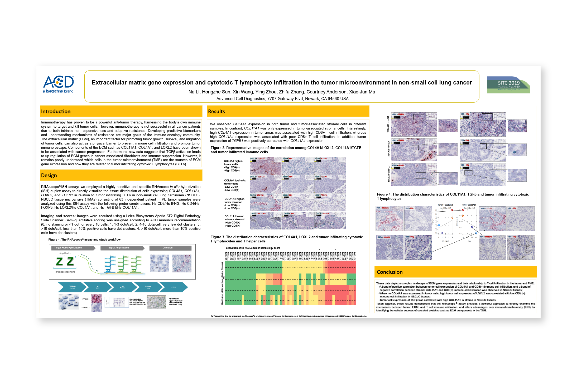 Extracellular matrix gene expression and cytotoxic T lymphocyte infiltration in the tumor microenvironment in non-small cell lung cancer - Presented at: SITC 2019