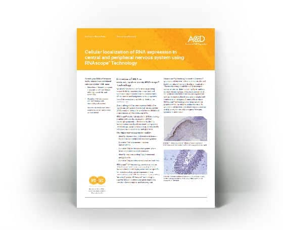 Cellular localization of RNA expression in central and peripheral nervous system using RNAscope Technology