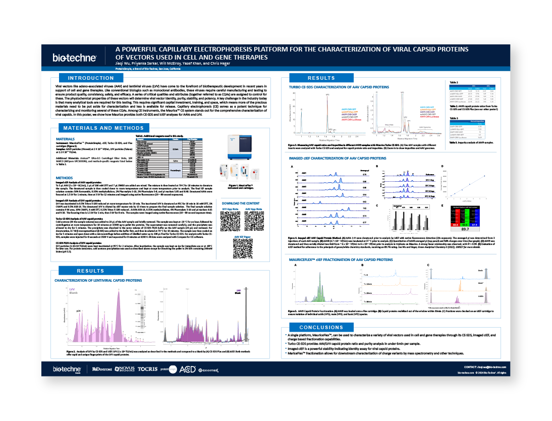 Platform for Viral Vectors