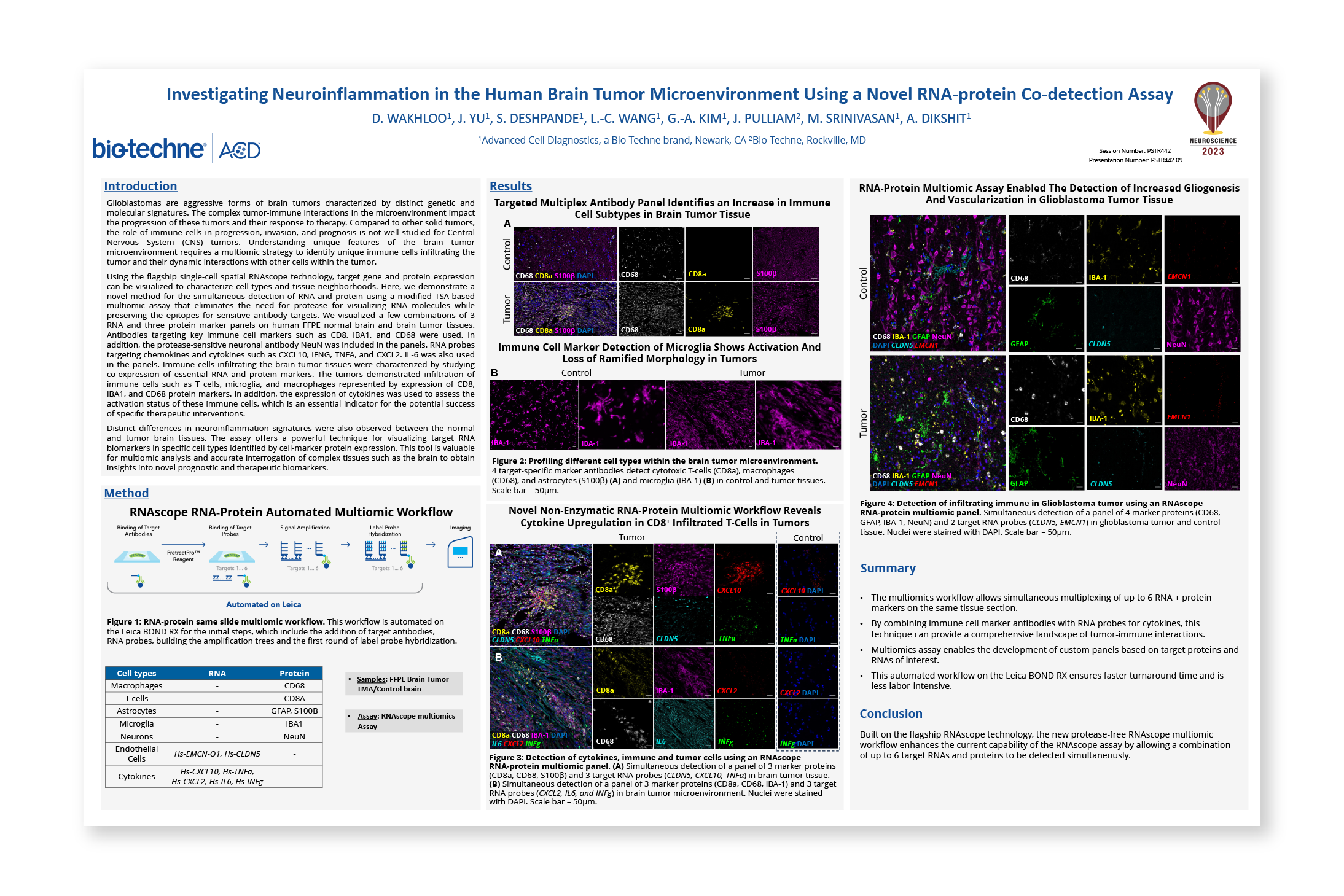 Image of - SFN 2023 Poster: Investigating Neuroinflammation in the Human Brain Tumor Microenviroment Using a Novel RNA Protein Co-Detection Assay