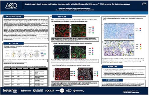 Thumbnail image of RNA-protein co-detection poster