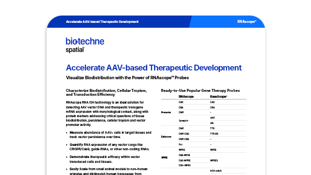 Accelerate AAV-Based Therapeutic Development Flyer Card