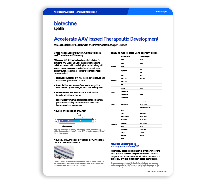 Accelerate AAV-Based Therapeutic Development Flyer Thumbnail
