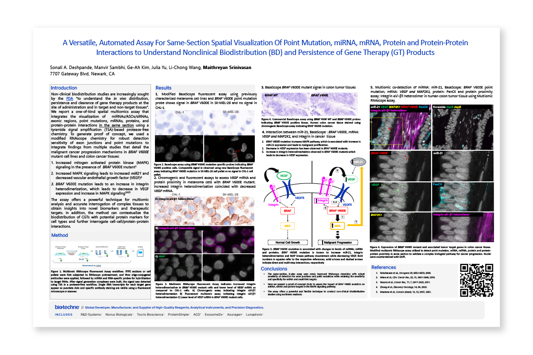 A Versatile, Automated Assay For Same-Section Spatial Visualization Of Point Mutation, miRNA, mRNA, Protein and Protein-Protein Interactions to Understand Nonclinical Biodistribution (BD) and Persistence of Gene Therapy (GT) Products