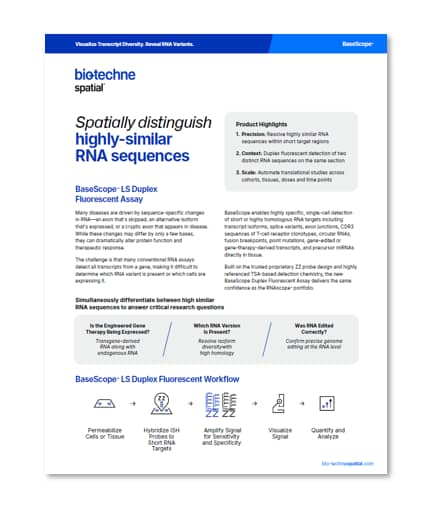BaseScope LS Fluorescent Assay Flyer - thumbnail