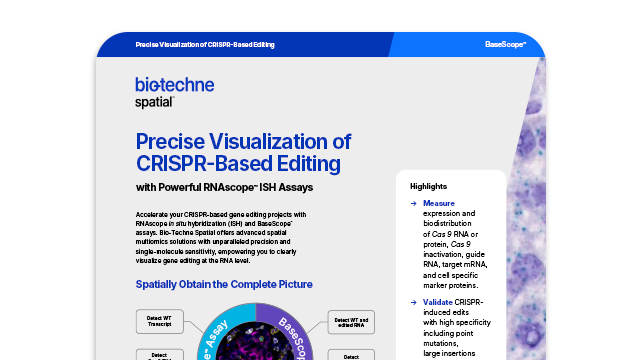 CRISPR Flyer Literature Page Card