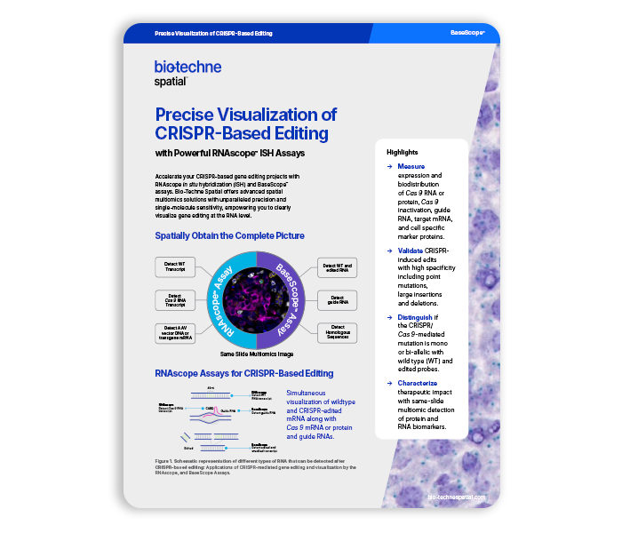 CRISPR Flyer Thumbnail