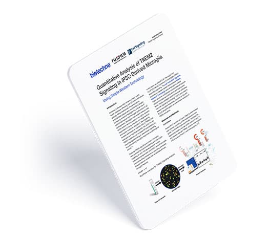 Quantitative Analysis of TREM2 Signaling in iPSC-Derived Microglia Using Simple Western Technology