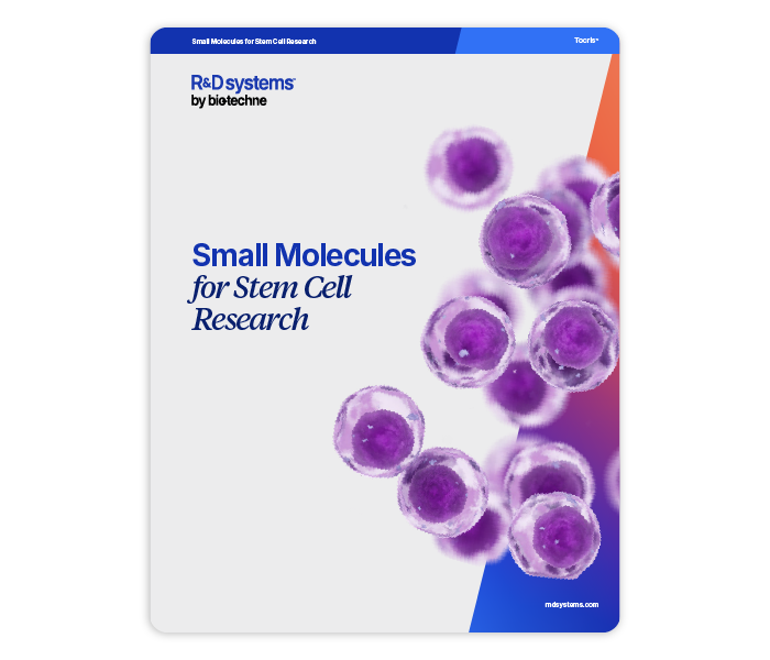 Thumbnail for the Small Molecule for Stem Cell Brochure