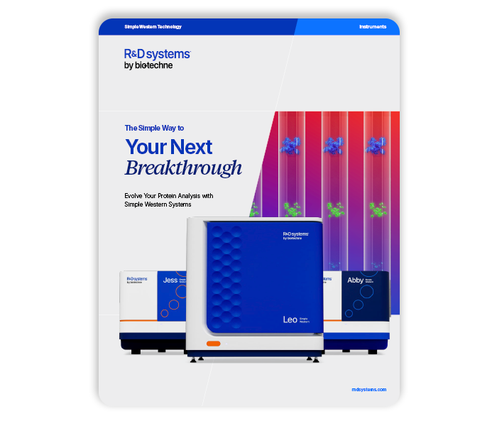 Simple Western Brochure