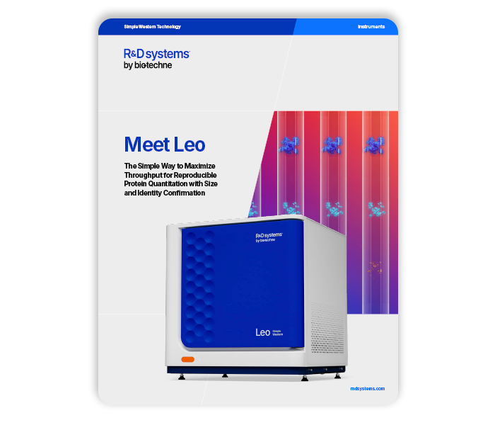 Meet Leo brochure thumbnail