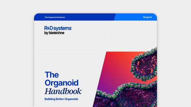 The Organoid Handbook Rebranded Teaser BG