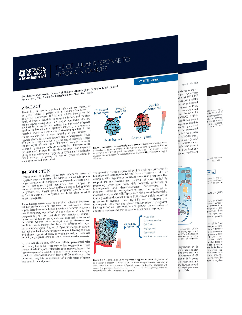 The Cellular Response to Hypoxia in Cancer Whitepaper